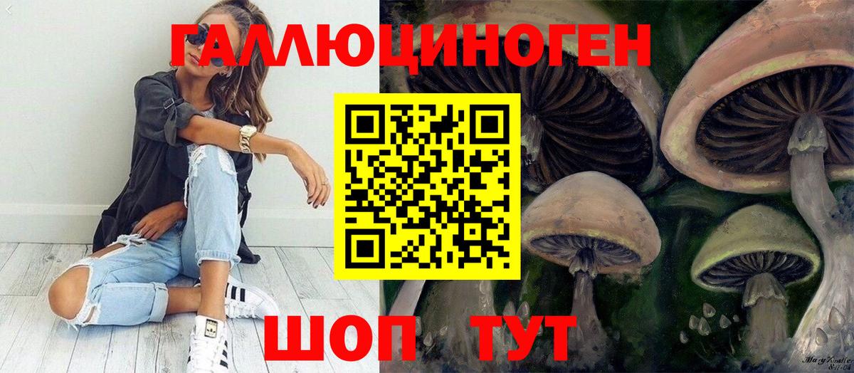 Псилоцибиновые грибы Psilocybe Сургут