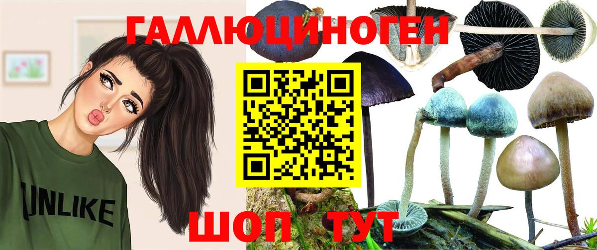Каннабис Сургут
