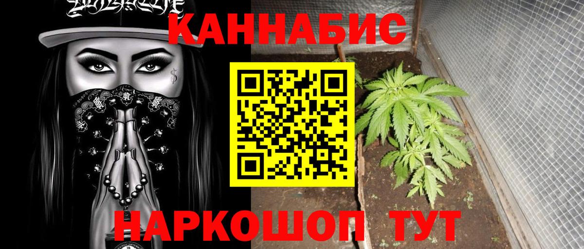 Сургут  Каннабис план  Бошки марихуана индика  Вход с VPN 